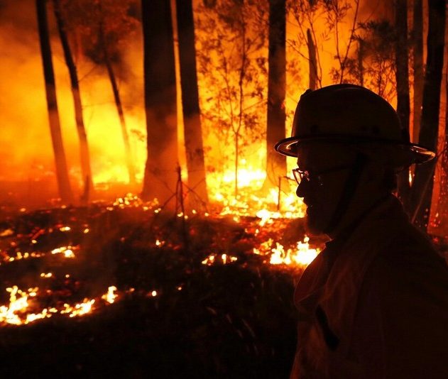 australie feu incendie
