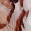 mars pole nord glace