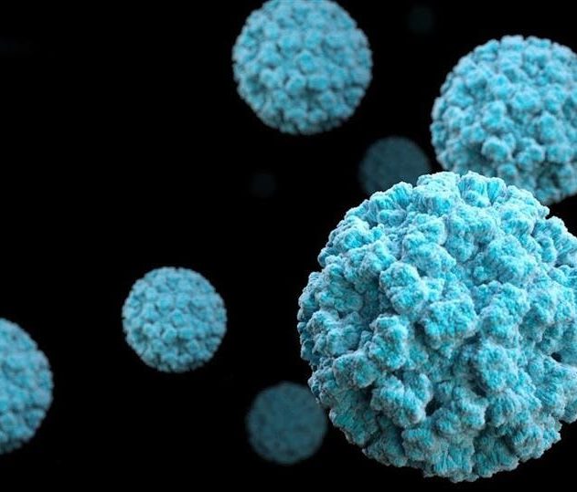 norovirus groupe sanguin