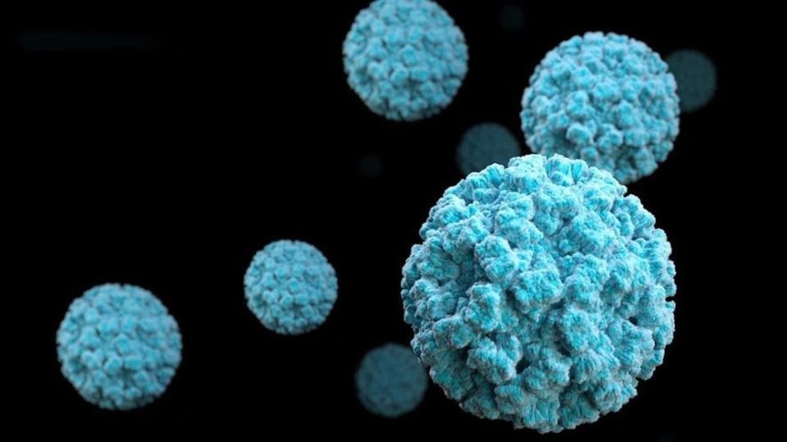 norovirus groupe sanguin