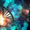 adn reproducteur reproduction genome laboratoire