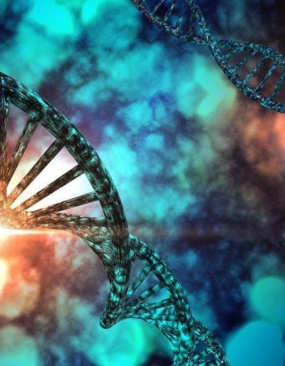 adn reproducteur reproduction genome laboratoire