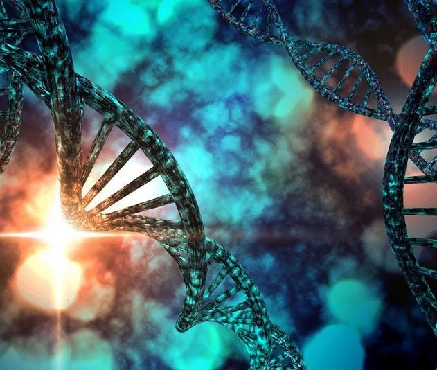 adn reproducteur reproduction genome laboratoire