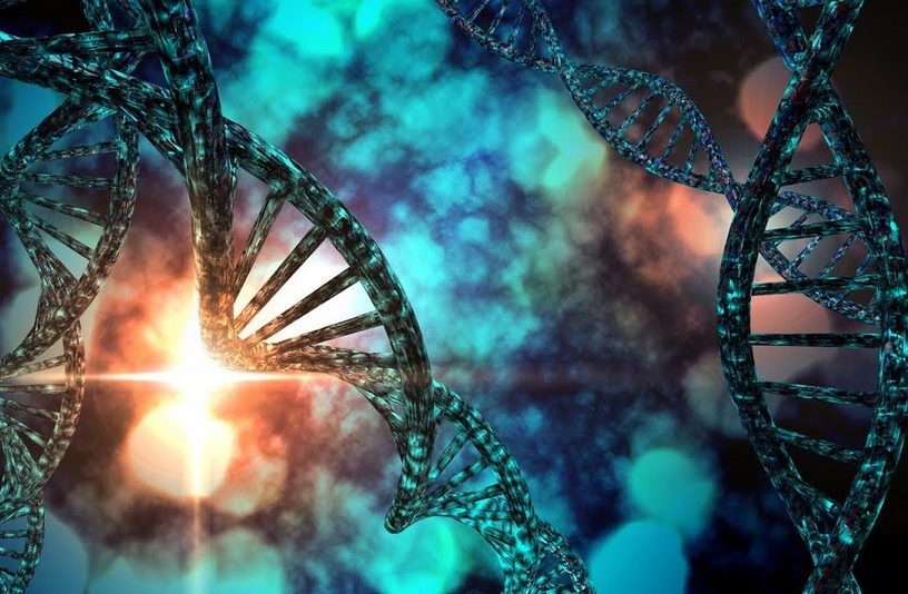 adn reproducteur reproduction genome laboratoire