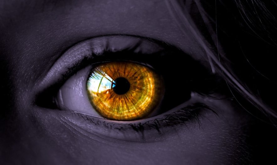 augmentation vision nocturne traitement cancer compris
