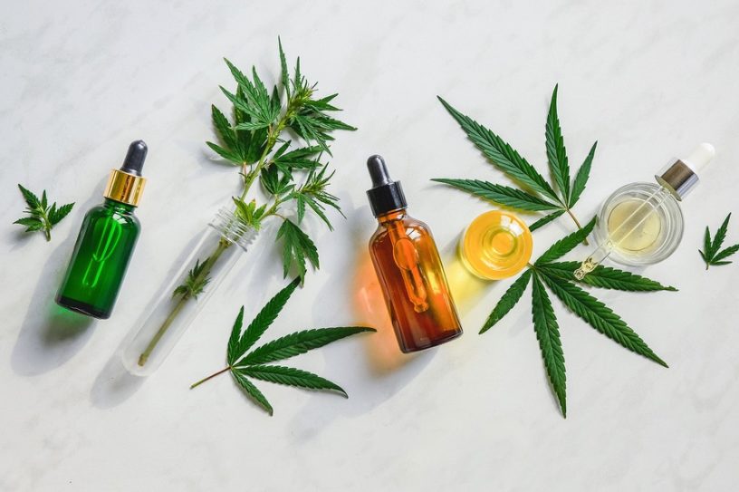 cannabis cannabidiol cbd