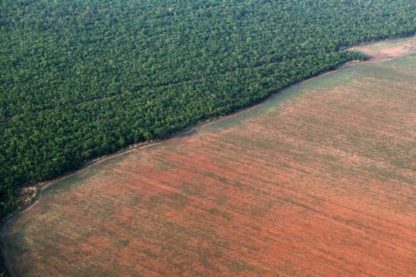 deforestation amazonie