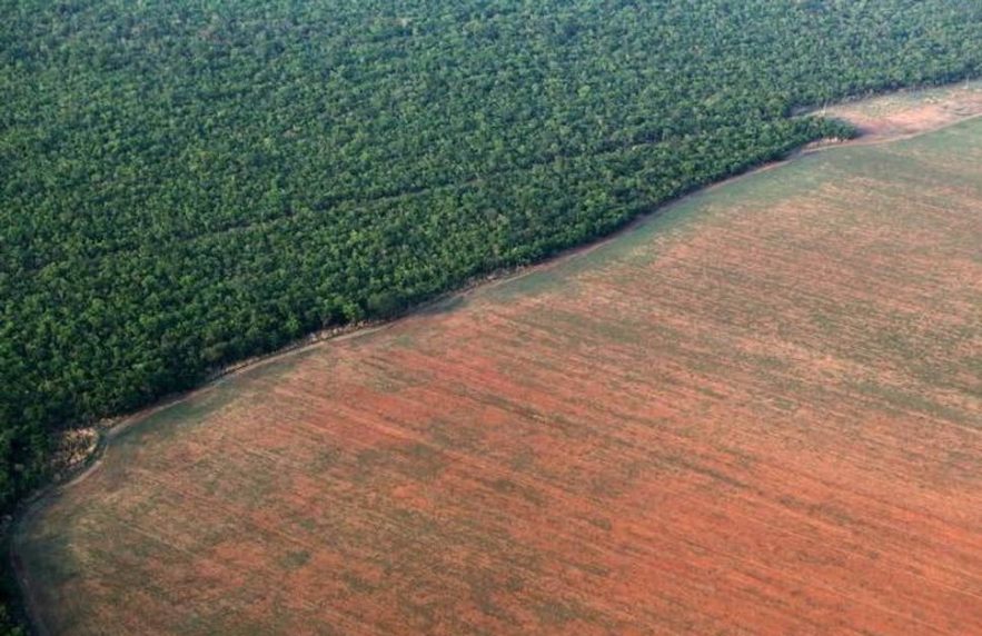 deforestation amazonie