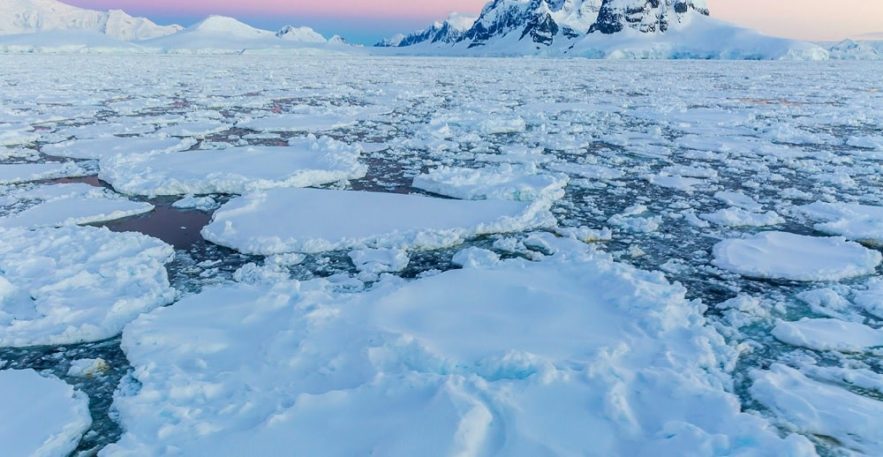 fonte antarctique