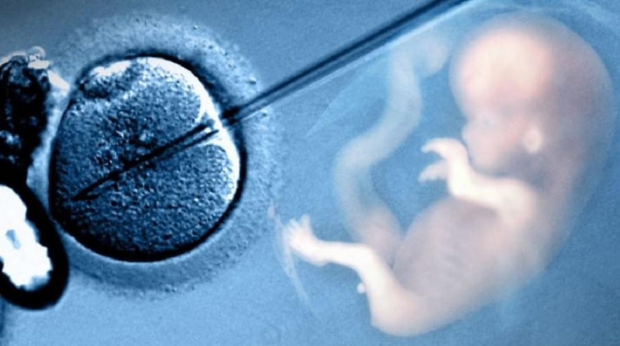 naissance ovules cancer
