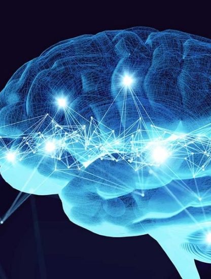 neurones bio artificiels