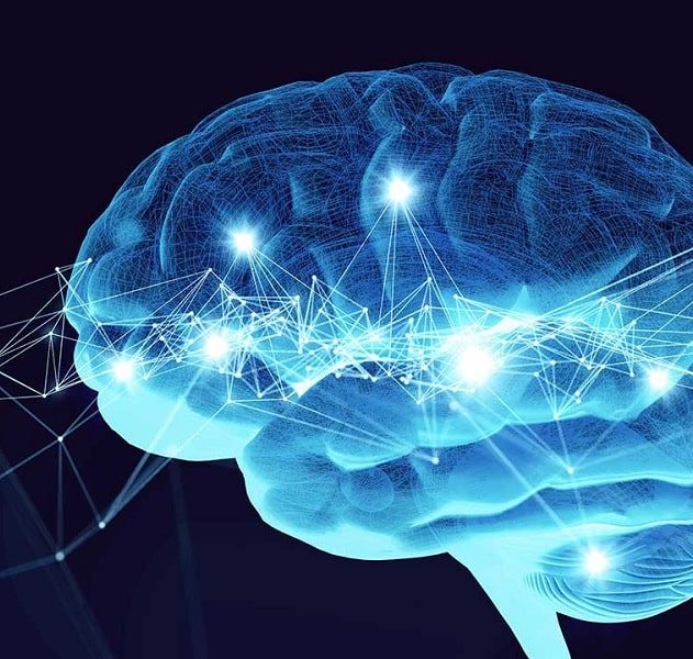 neurones bio artificiels