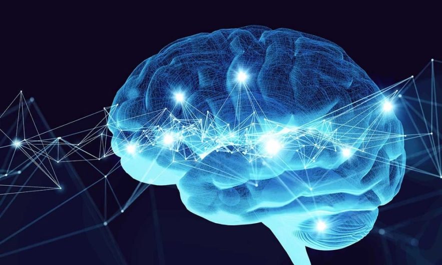 neurones bio artificiels