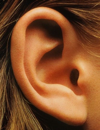 oreille