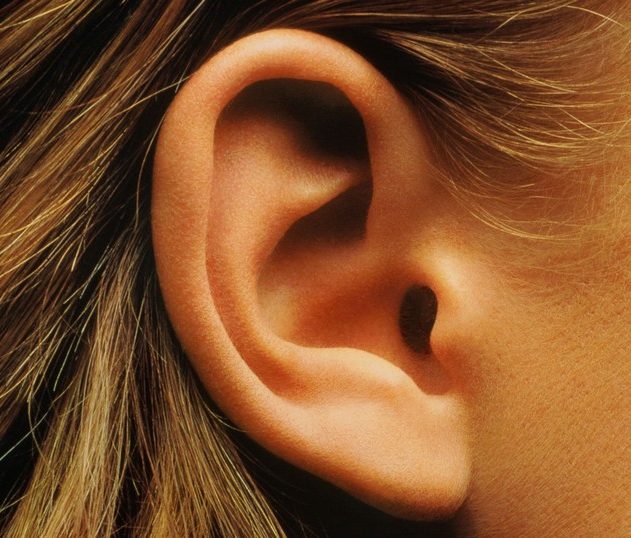 oreille