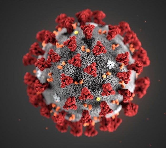 structure SARS-CoV-2