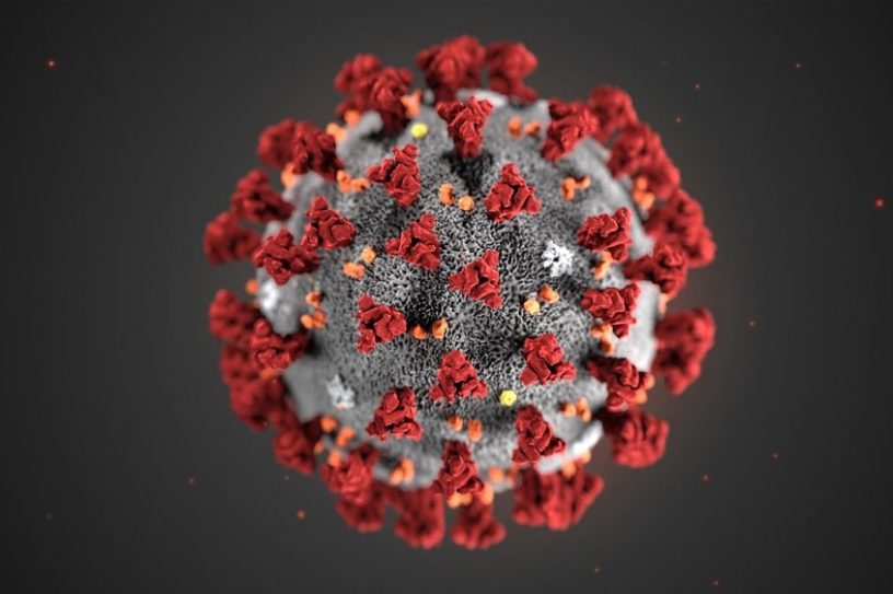 structure SARS-CoV-2