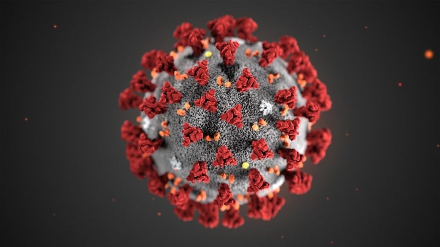structure SARS-CoV-2