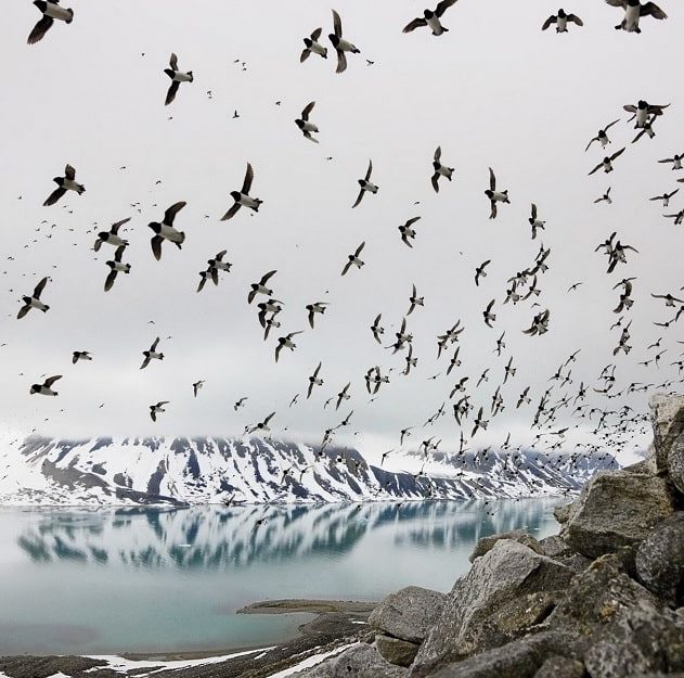systeme immunitaire climat
