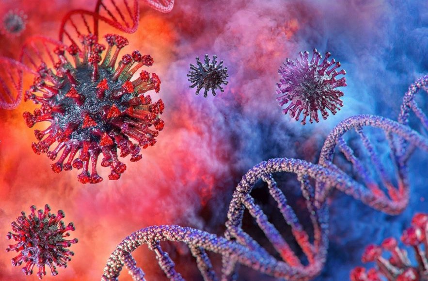 coronavirus adn