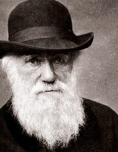 darwin evolution