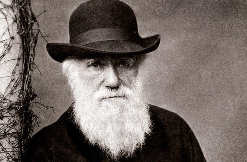 darwin evolution