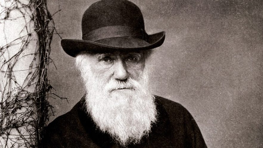 darwin evolution