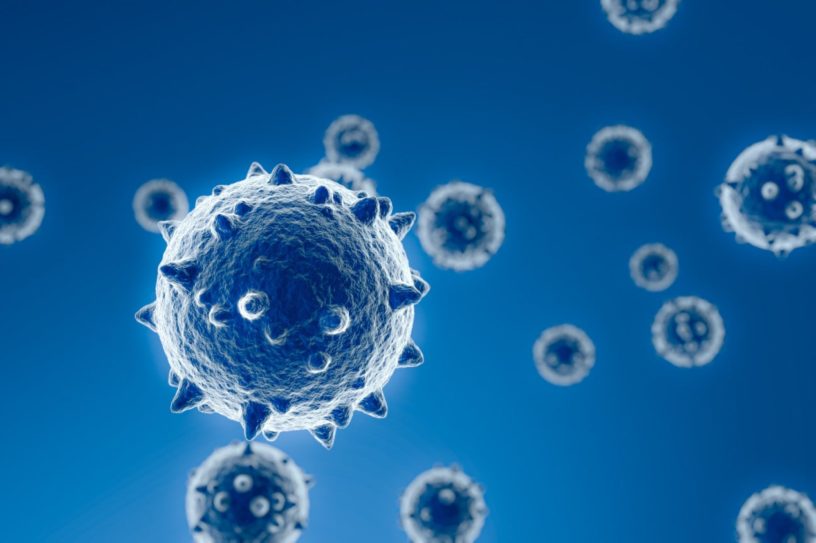 origine SARS-CoV-2 combinaison virus