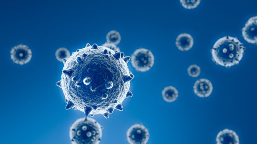 origine SARS-CoV-2 combinaison virus