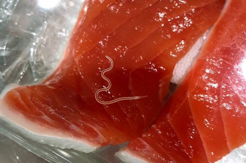 parasite sushis