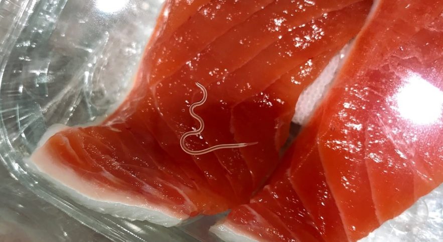 parasite sushis