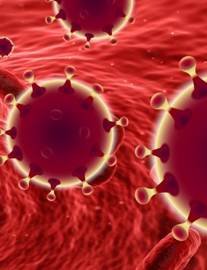 recherche immunité covid19