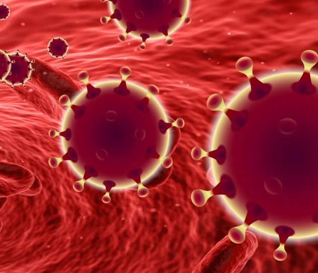 recherche immunité covid19