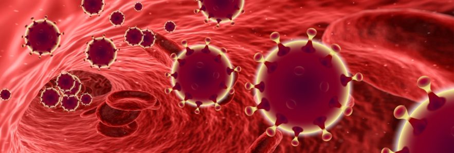 recherche immunité covid19