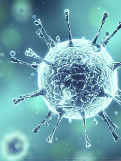 souches coronavirus
