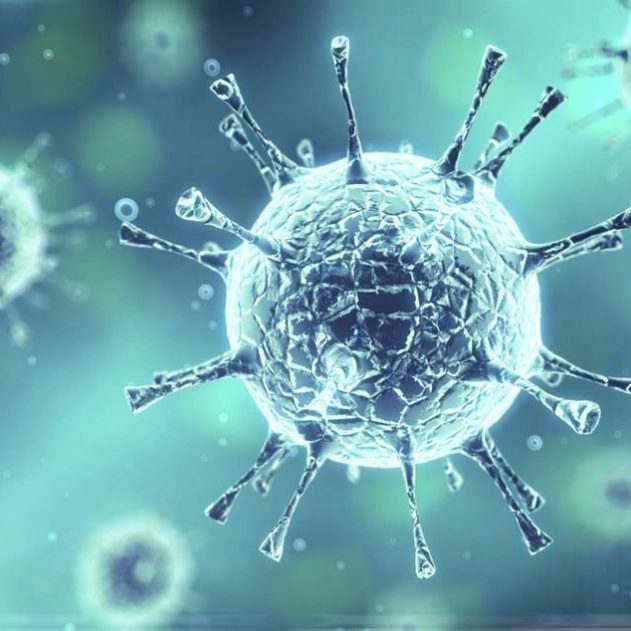 souches coronavirus