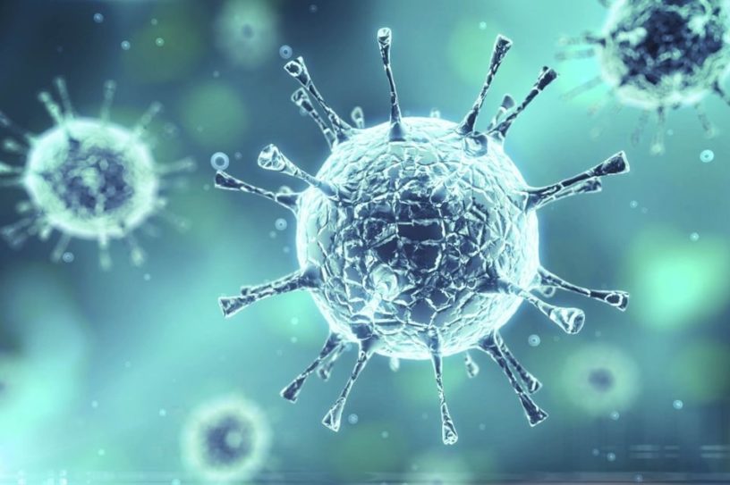 souches coronavirus