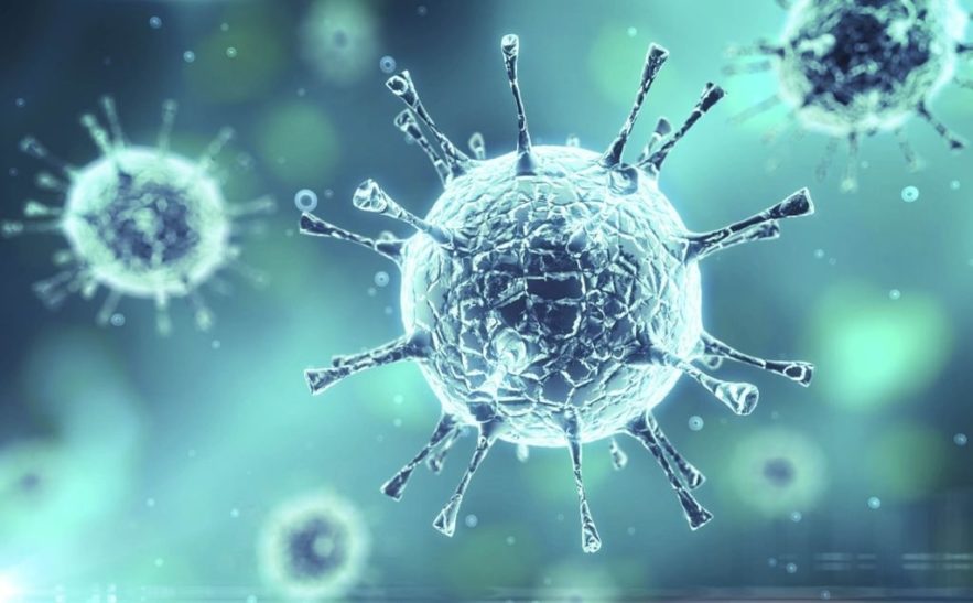 souches coronavirus