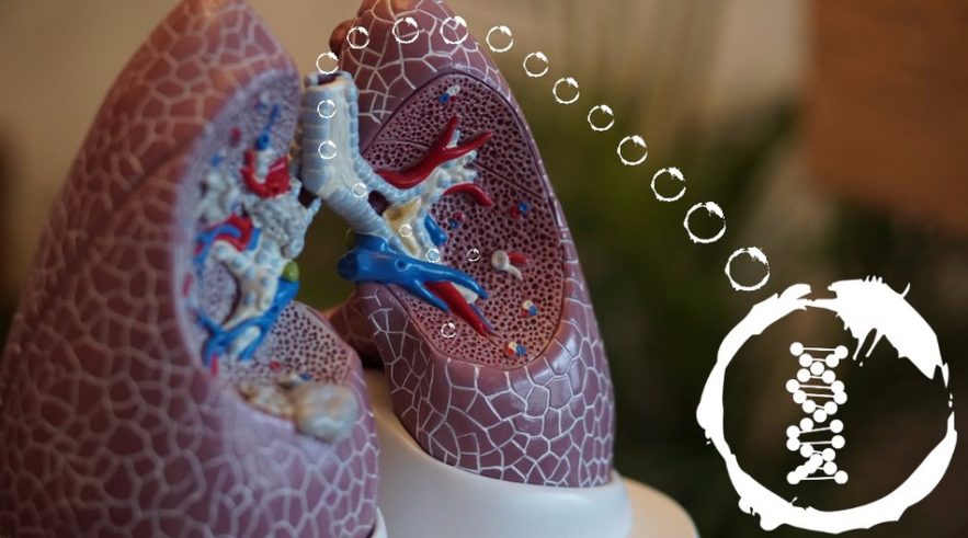 asthme inhalation siARN
