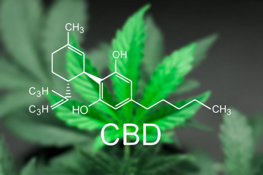 cbd cancer cerveau aggressif