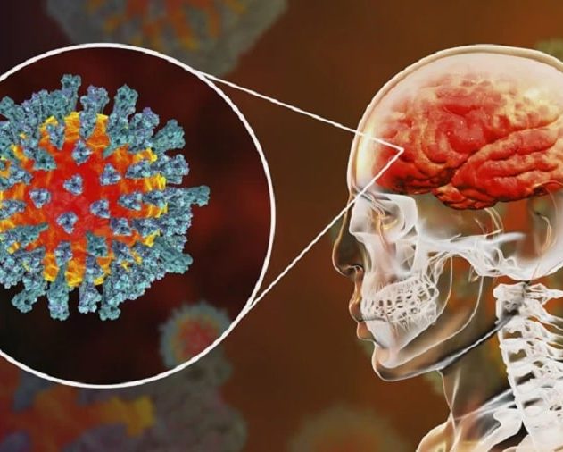 cerveau coronavirus