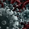 coronavirus sars-cov-2 covid-19