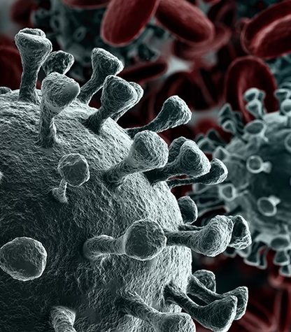 coronavirus sars-cov-2 covid-19