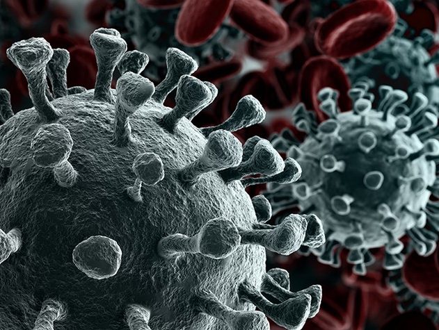 coronavirus sars-cov-2 covid-19