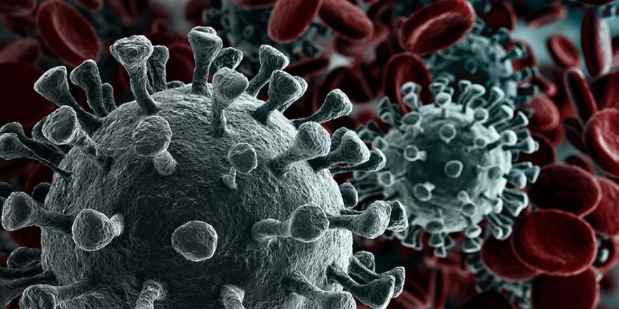 coronavirus sars-cov-2 covid-19
