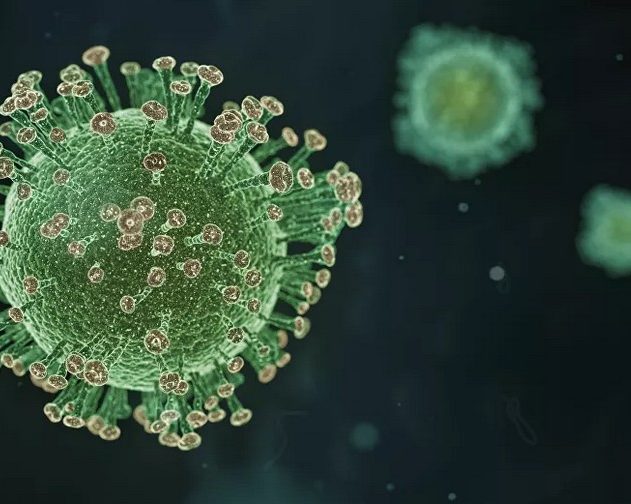 coronavirus mutation sars-cov-2