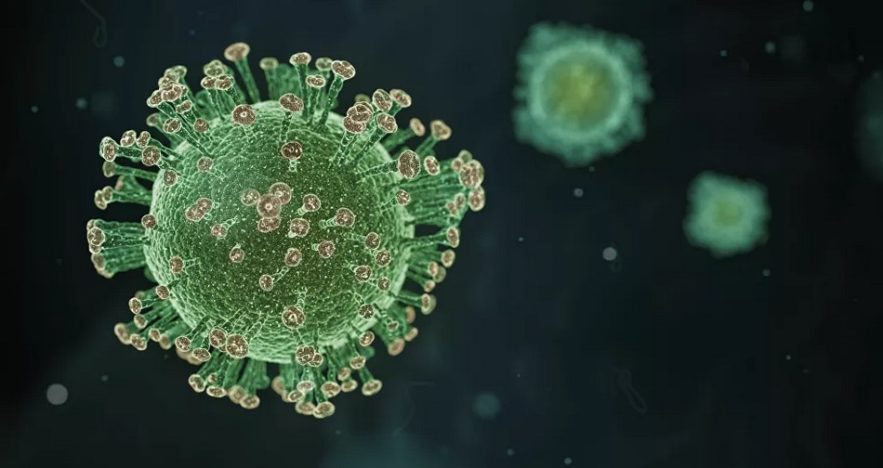 coronavirus mutation sars-cov-2
