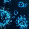 coronavirus virus transmission