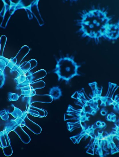 coronavirus virus transmission