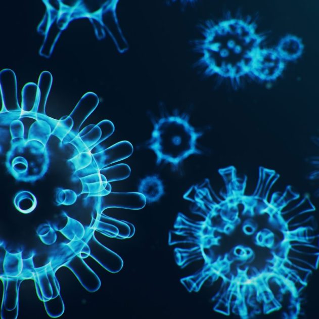 coronavirus virus transmission